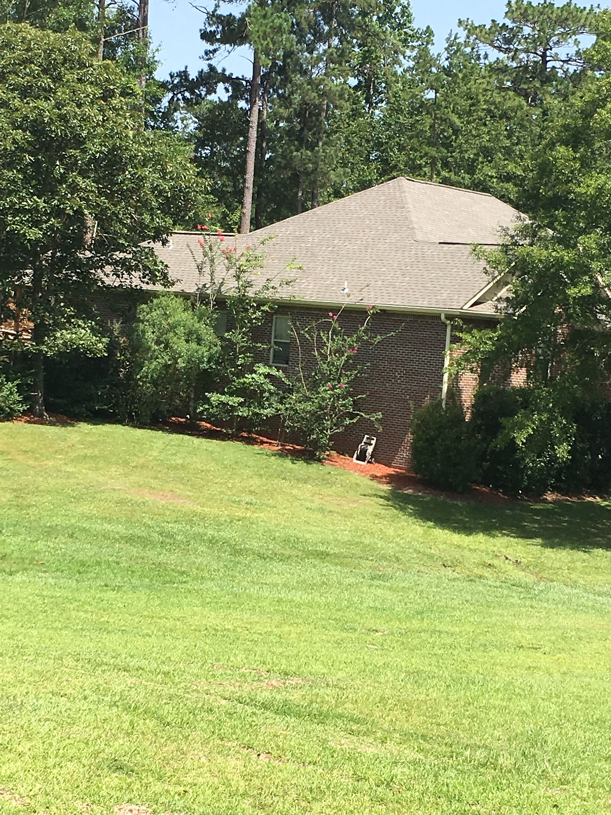 shingle roof1